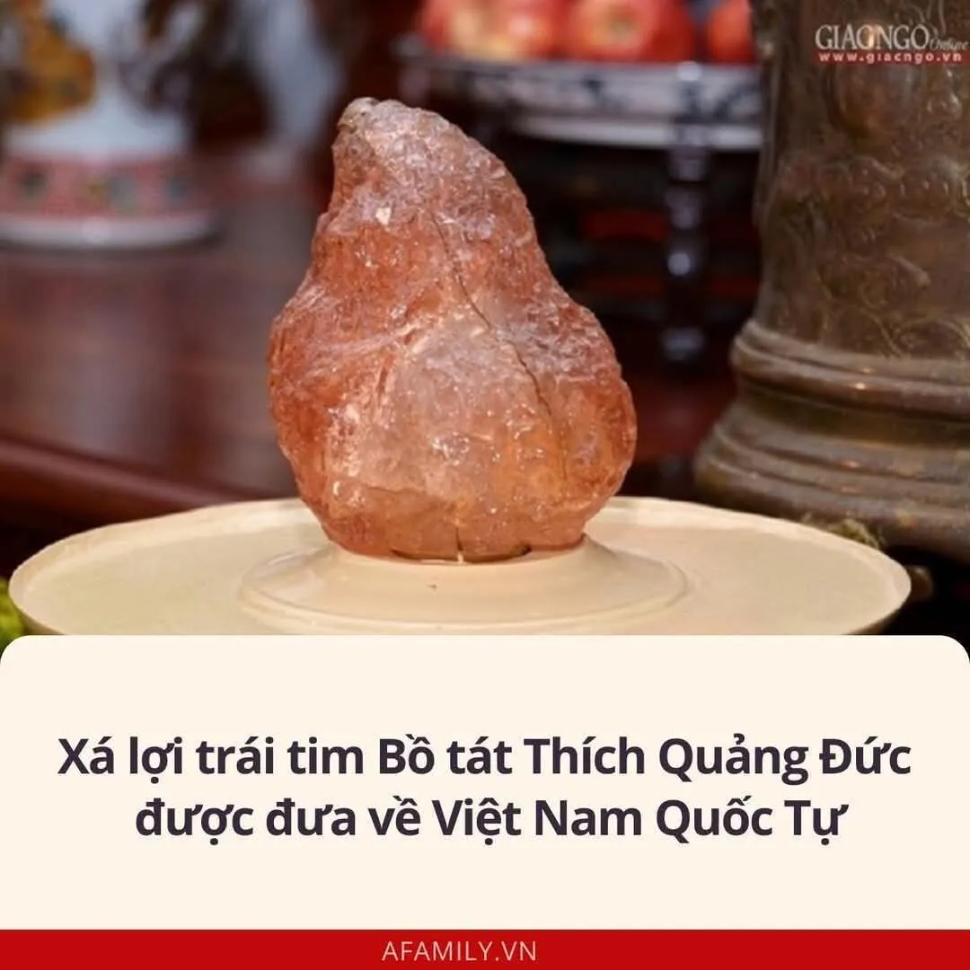 6v3AkL91.jpg-webp